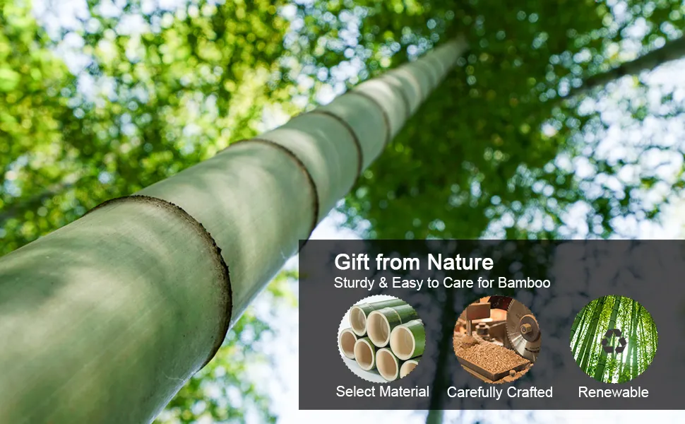 2020 Stand Office Modern Computer Desks Sit Stand Height Adjustable Standing Desk Zc-Bd010b