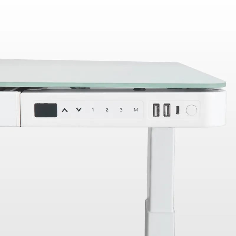 Customized Manufacturer Cost Various Silent Online Standing up Desk