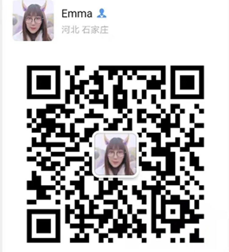 Eames Nordica Sillas Eiffel Powder Coated Replica Black Metal Wire Outdoor Modern Cafe Dining Chairs with Cushion