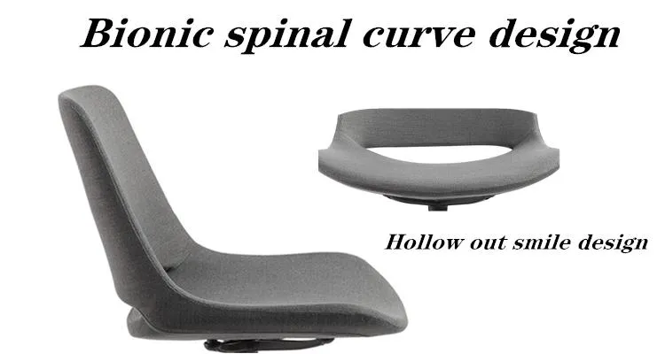 Manufacturer Training Visitor Reception Waiting Meeting Conference Room Armless Chairs