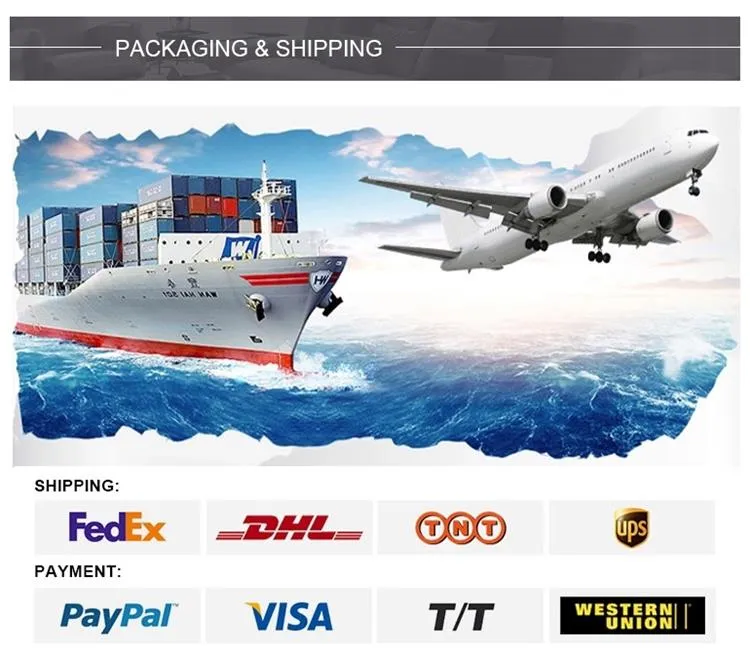 Modern Design Minimalist Restaurant Chair Nordic Plastic Bar Stool Solid Wood High Bar Chair Ins Dining Chair