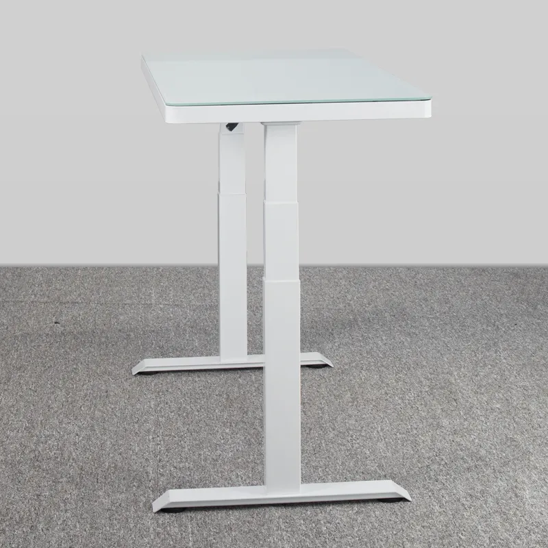 Quiet Affordable and Stable Quietest Sit Standing Desk