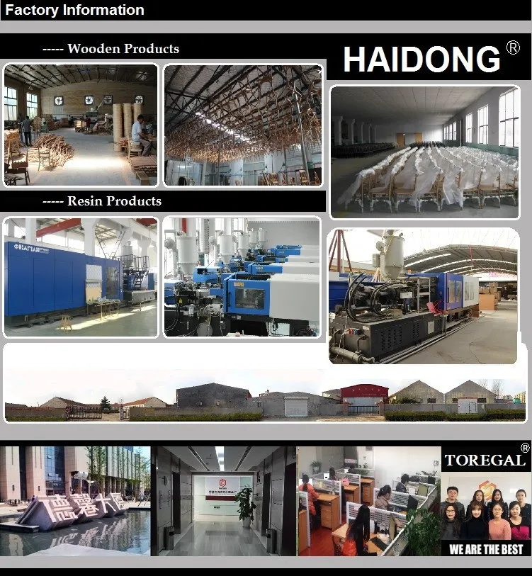 Wedding Banquet Hotel Dining Acrylic Clear Resin Louis Ghost Chair